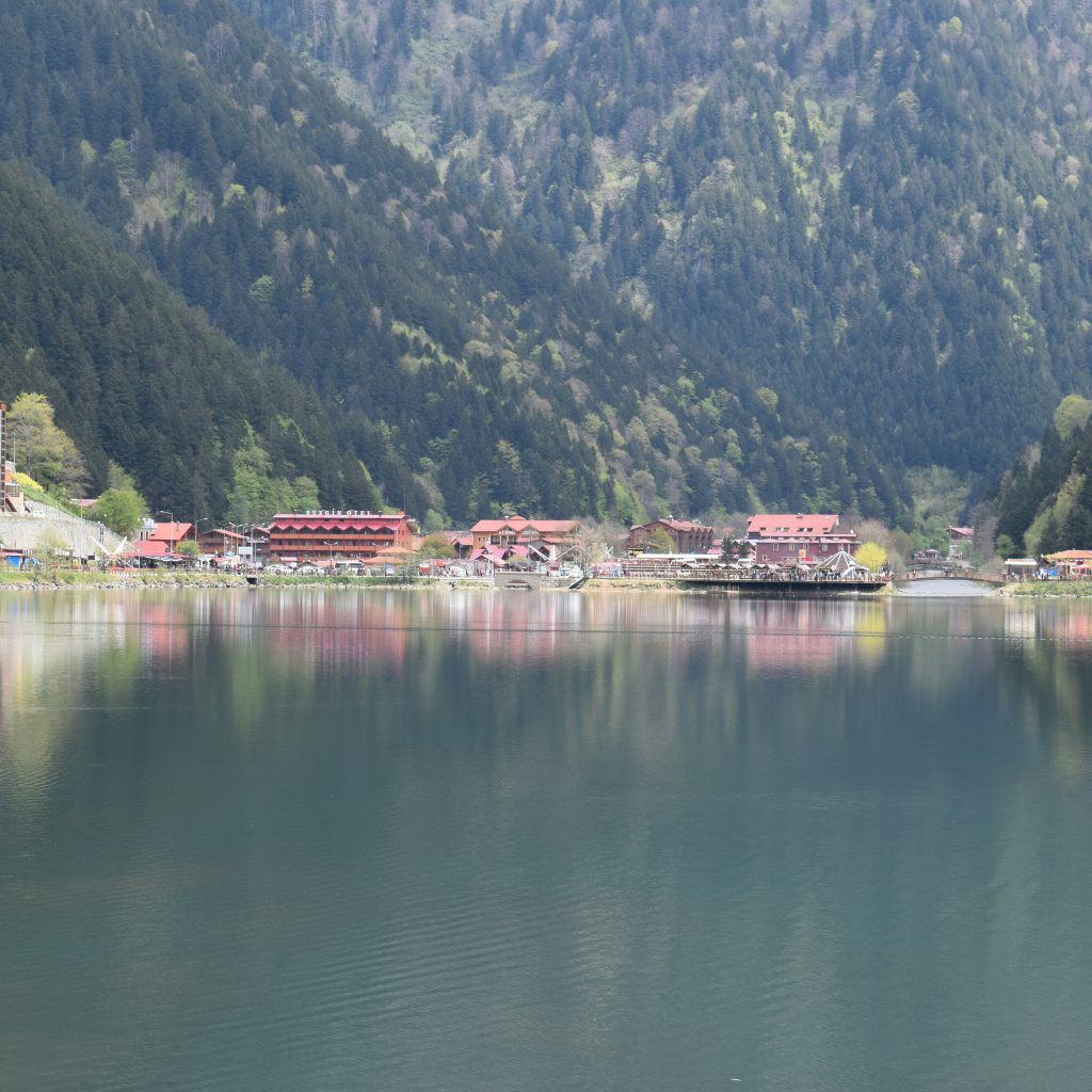 abdul-rahman-dabbour-u8Wpde7m-LY-unsplash