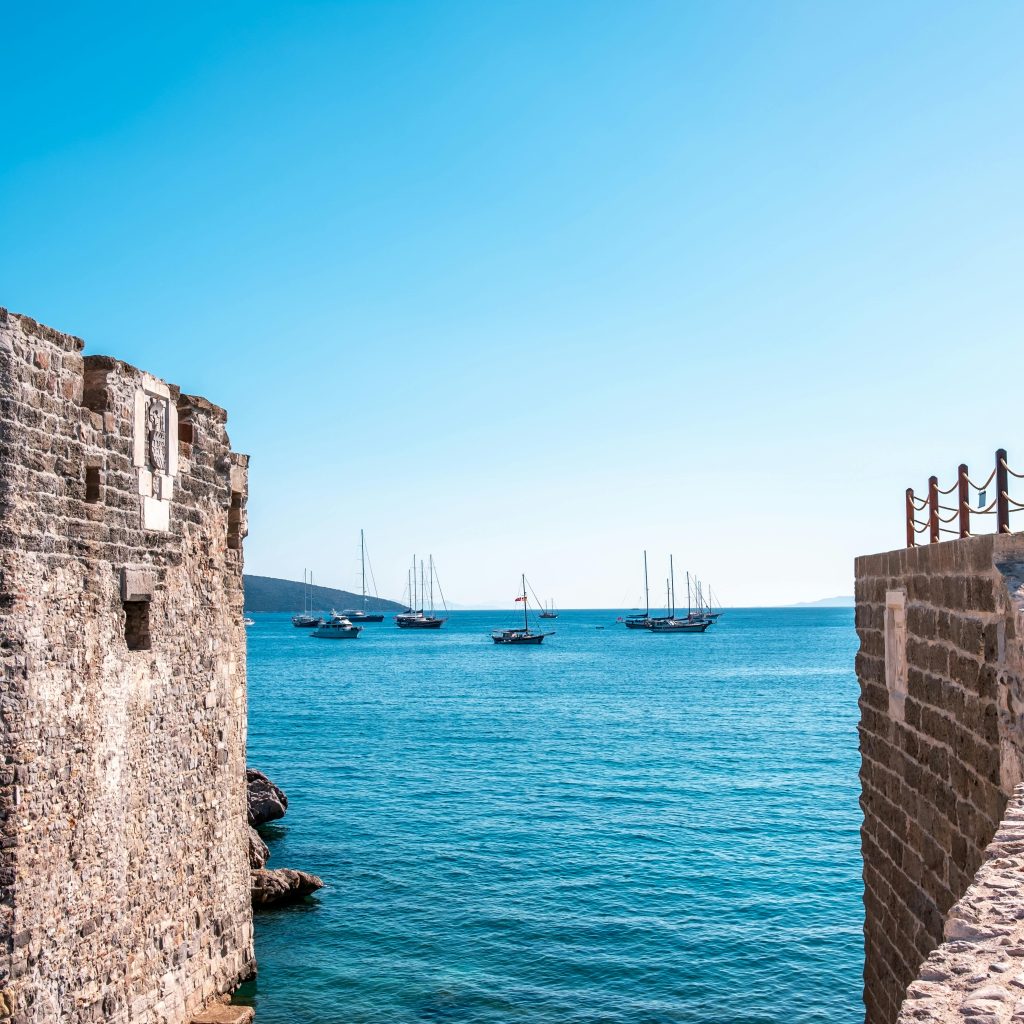 pexels-ahmetcigsar-18961669