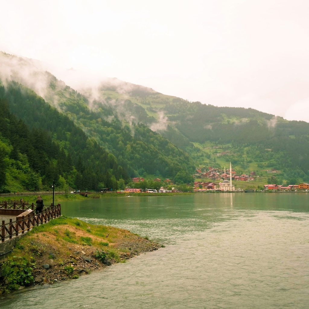 shahen-WBNHIlbpZYo-unsplash